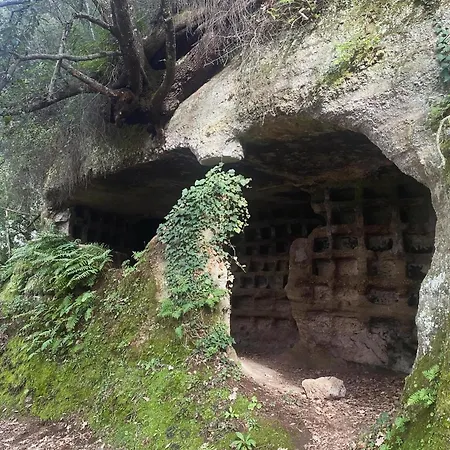 Notti Etrusche A سوفانا
