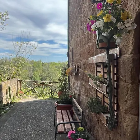 Notti Etrusche A Sovana