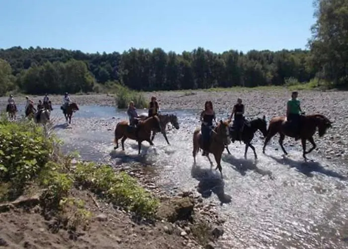 Notti Etrusche A בית הארחה 3*