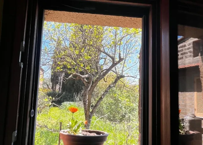 Notti Etrusche A בית הארחה 3*