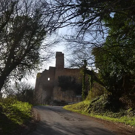 Notti Etrusche A Sovana